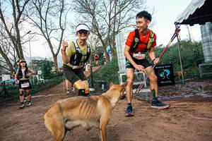 BIB: 
                            <button type="button" onclick="openModal(25457864)" class="btn btn-primary btn-sm float-right btn-popup" data-toggle="modal" data-target=".modal-high-quality">
                        <i class="fas fa-shopping-cart"></i> Add to Cart
                    </button>
                                            <button type="button" onclick="isThisMe(25457864, true)" class="btn btn-success btn-sm float-right btn-popup btn-isme hidden" data-toggle="tooltip" data-placement="bottom" title="นี่คือรูปของคุณใช่ไหม คลิกที่นี่เพื่อเอาเข้าอัลบั้ม">
                        <i class="fas fa-plus"></i> Add to album
                    </button>
                    <button type="button" onclick="isThisMe(25457864, false)" class="btn btn-warning btn-sm float-right btn-popup btn-isnotme hidden">
                        <i class="fas fa-ban"></i> Remove from album
                    </button>